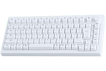 【未使用品】Akko ラピッドトリガー 8000Hz キーボード 5075S Amazon | 【国内正規品】Akko(アッコ) ラピッドトリガー 8000Hz